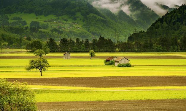 L’Europa prova l’agricoltura sostenibile