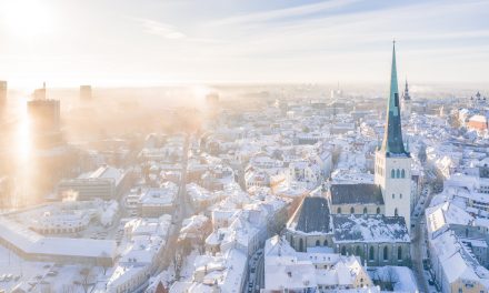 Estonia felix, incubatrice di innovazione collettore di talenti
