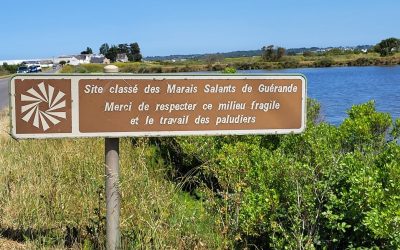 Poco lontano dall’estuario della Loira si estendono le incantevoli saline di Guérande